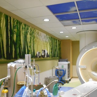 - Image360-Plymouth-WallMurals&WallPaper-HealthCare (2)